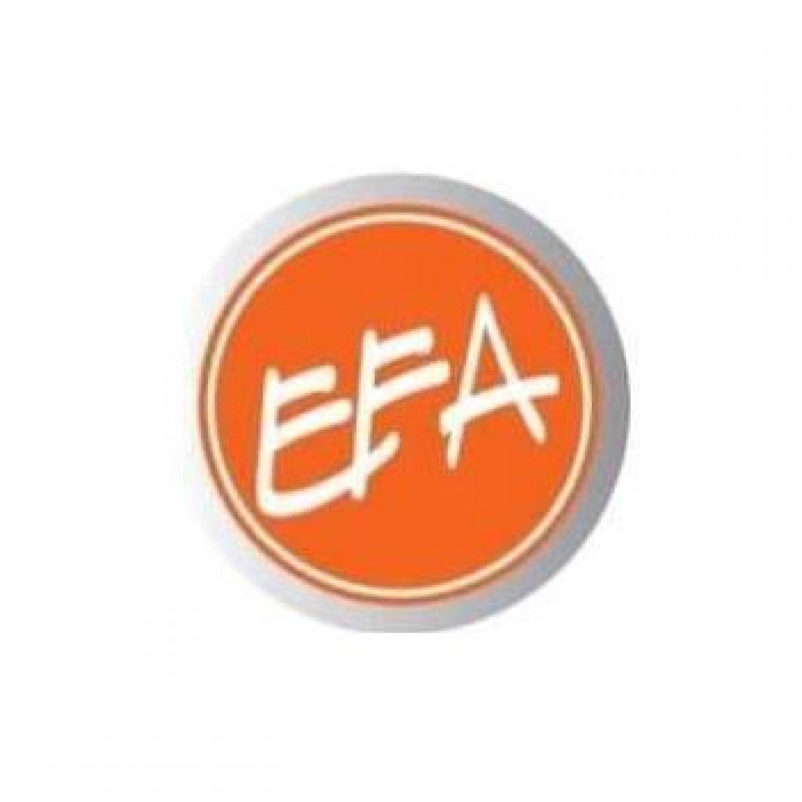 Eric Fortin Logo